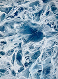 Print of 'Eye of the Storm'